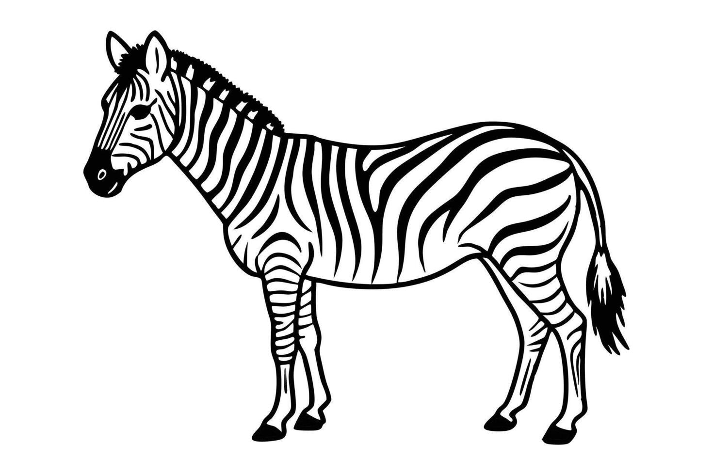 A zebra line art illustration vector