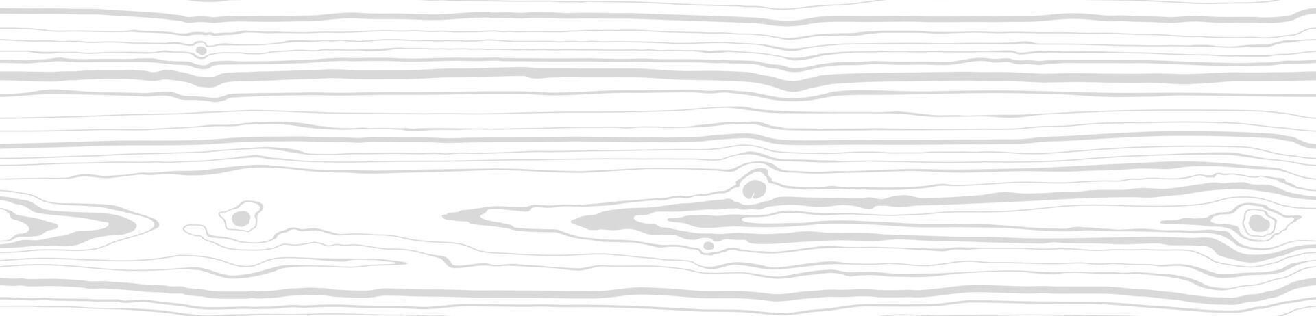 Wood grain white gray texture. Seamless wooden pattern. Abstract line background. Tree fiber vector