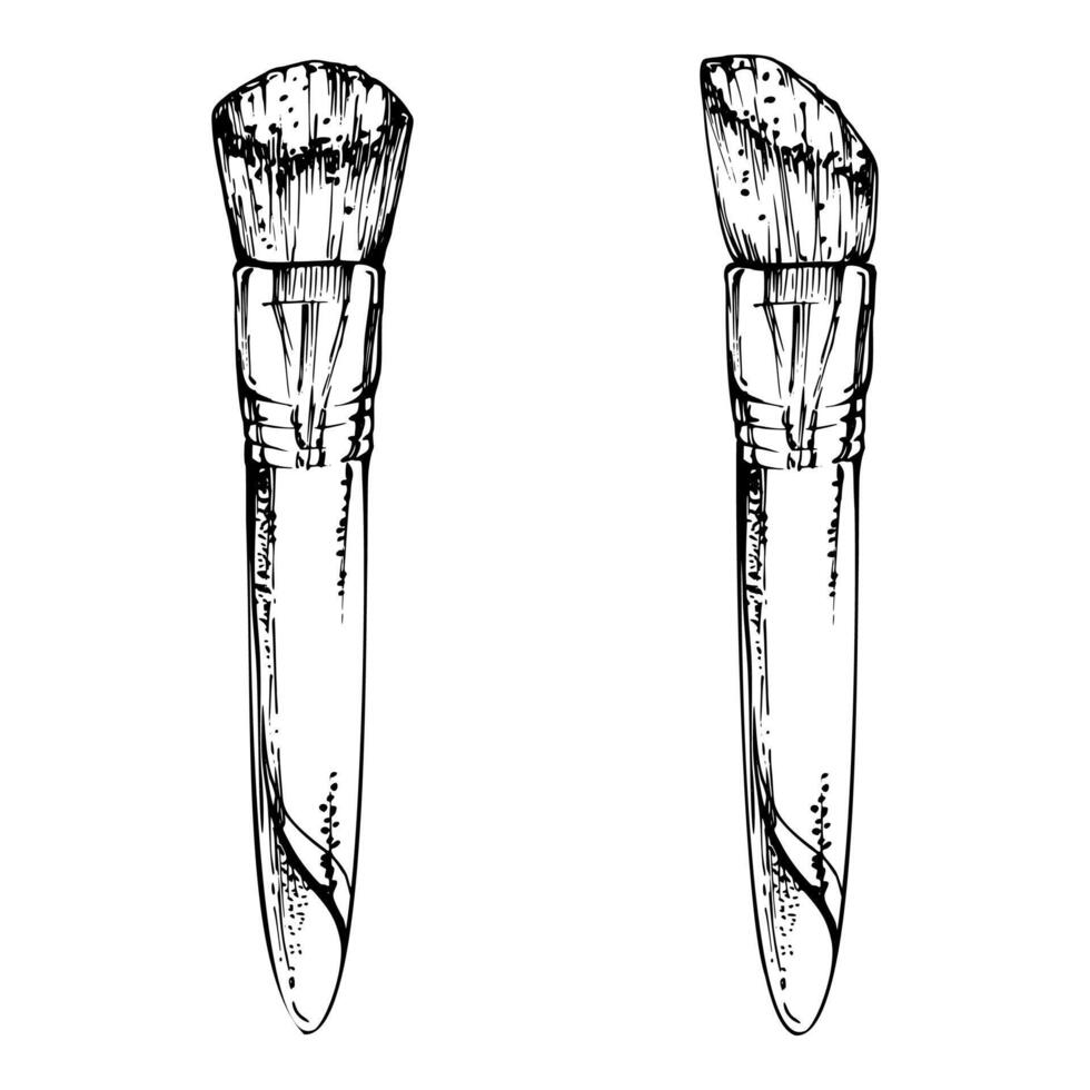 Make-up paint artistic supply bristle sponge brush applicator detailed line sketch hand drawn in ink, isolated object. Beauty parlor salon illustration, packaging, cosmetics shop, art studio vector