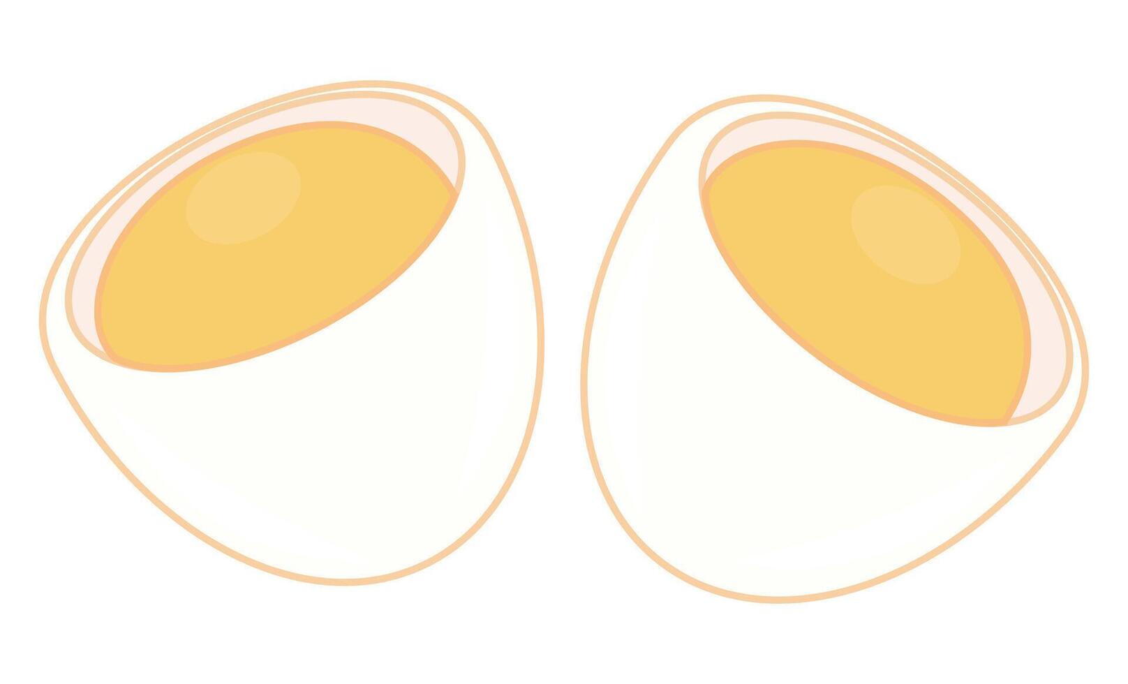 Two halved eggs with yellow yolks sit side by side. vector