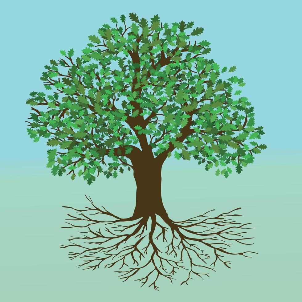 An oak tree of life with a full empty crown and roots. The background is an icy blue and green gradient vector