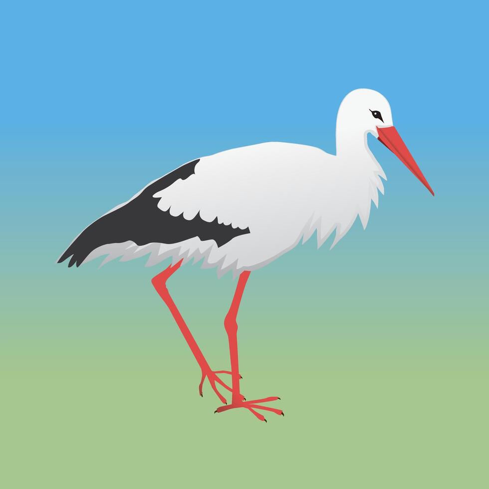 An illustration of a stork. The background is green and blue vector