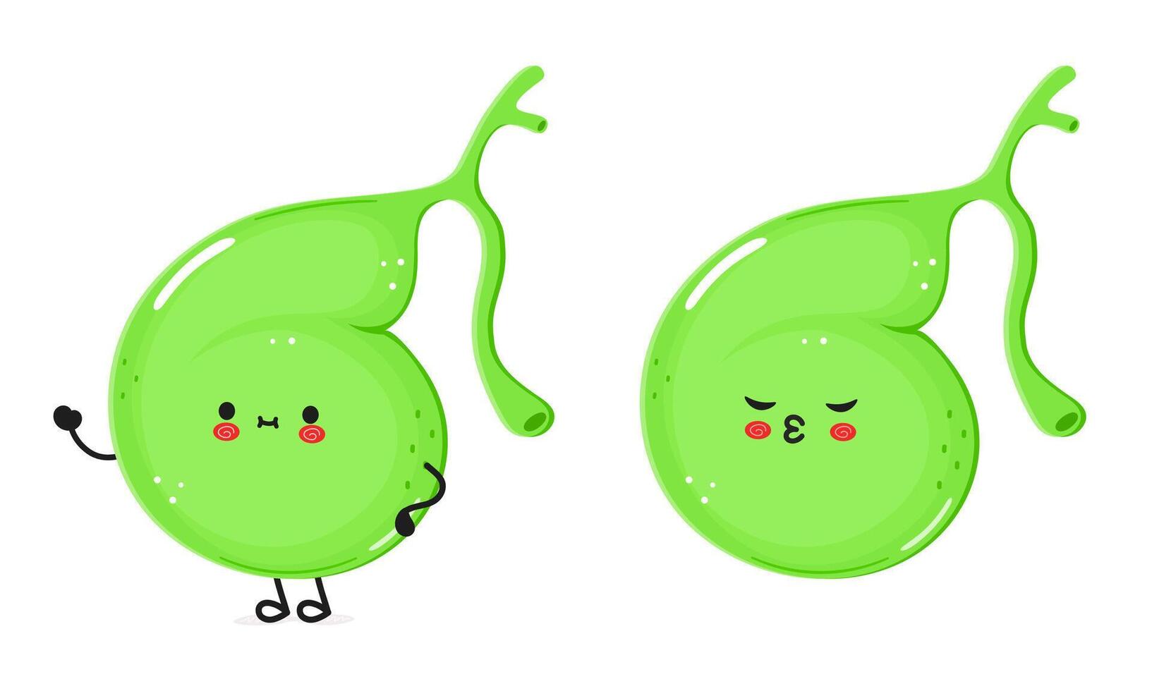 Gallbladder character. hand drawn cartoon kawaii character illustration icon. Isolated on white background. Gallbladder character concept vector