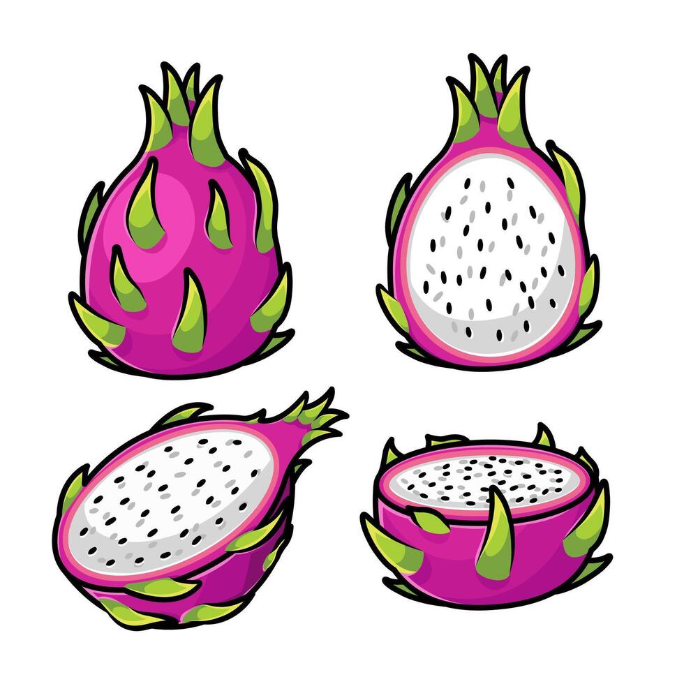 Whole and sliced dragon fruits arranged in various ways. vector