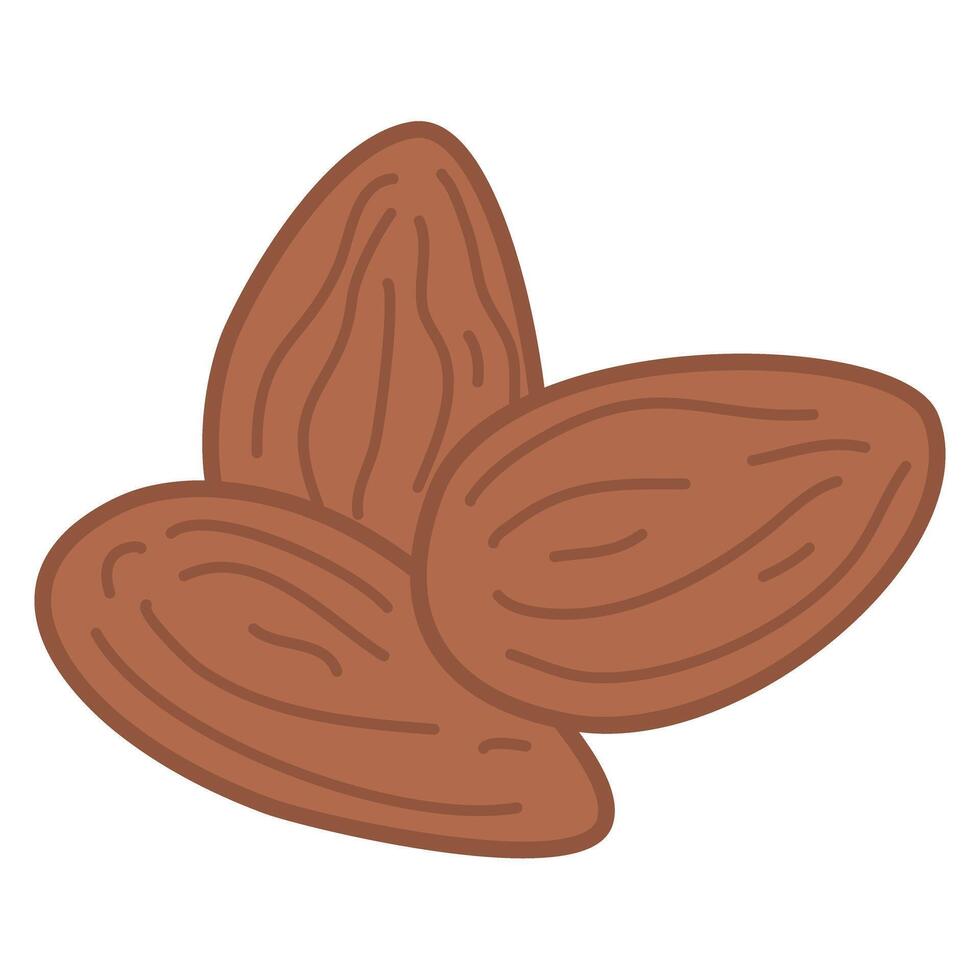 Almond Nuts Illustration healthy food vector