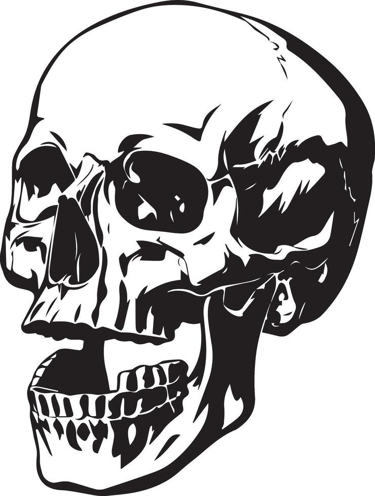 Skull Illustration silhouette black isolated on white background vector