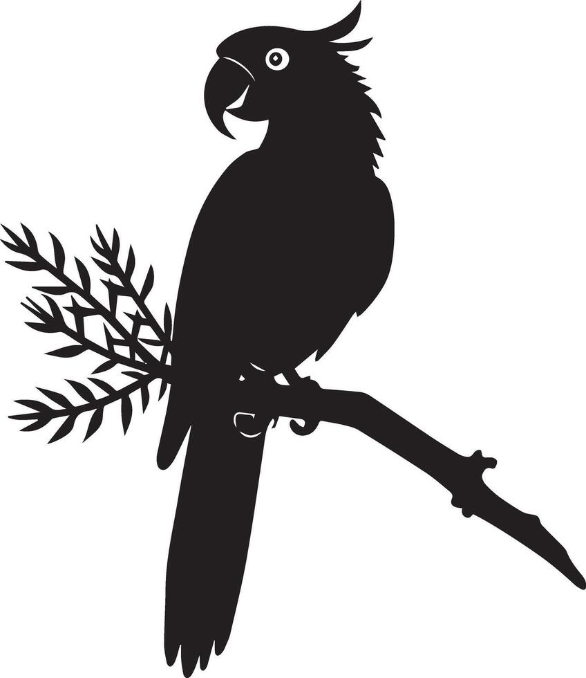 Parrot Bird on white background vector