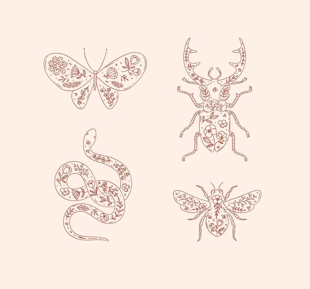 Beetles elements stag beetle, snake, moth, insect drawing in floral style with red on pink background vector