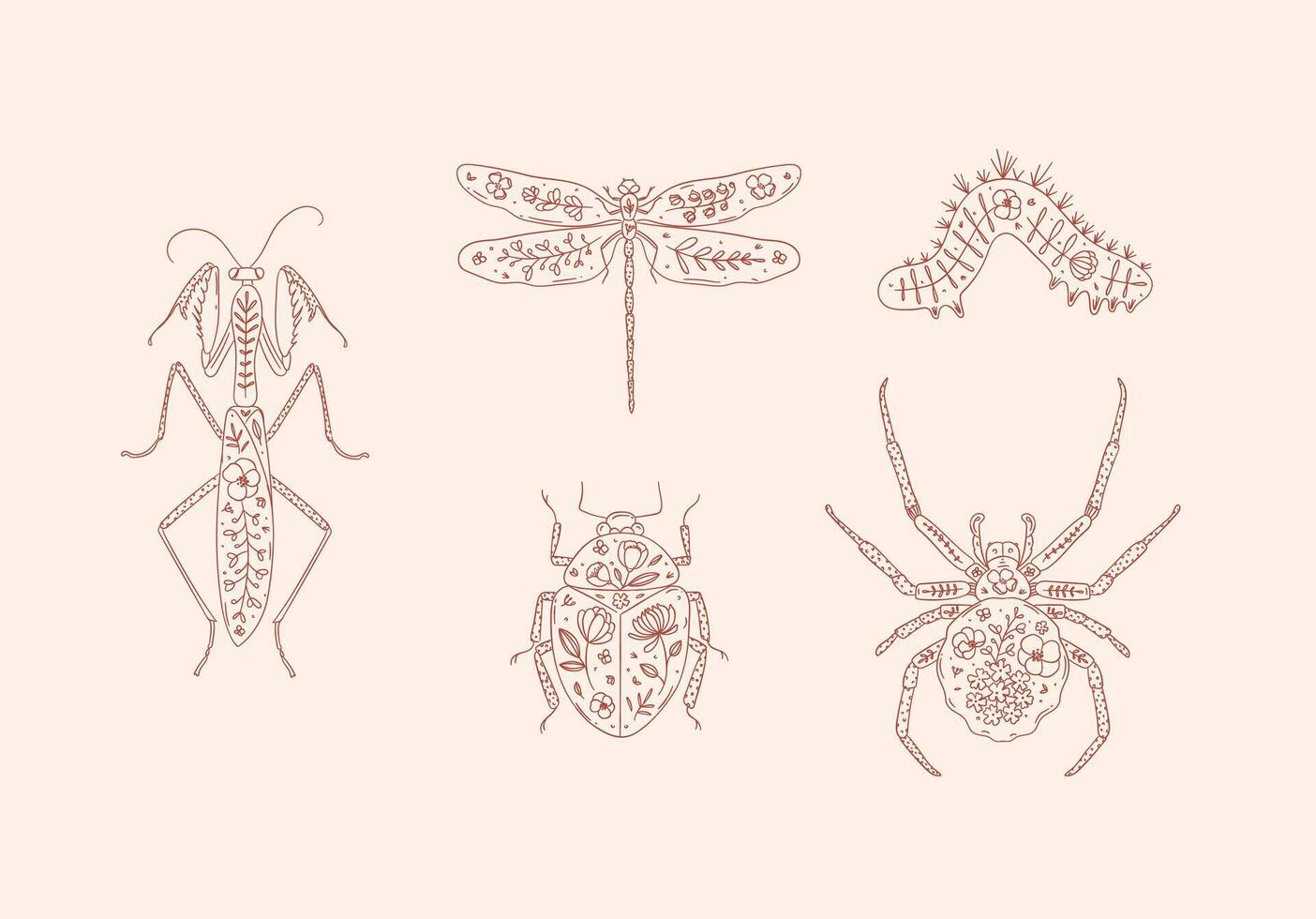 Beetles elements mantis, dragonfly, spider, caterpillar, insect drawing in floral style with red on pink background vector