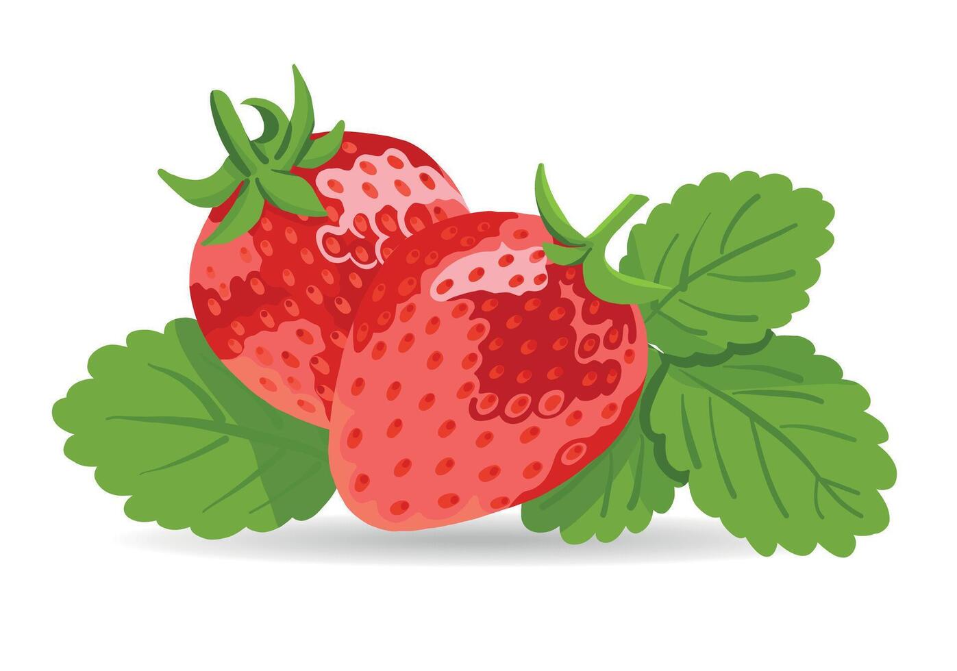 Realistic Strawberry Set Whole Berries with Green Leaves Isolated on White vector