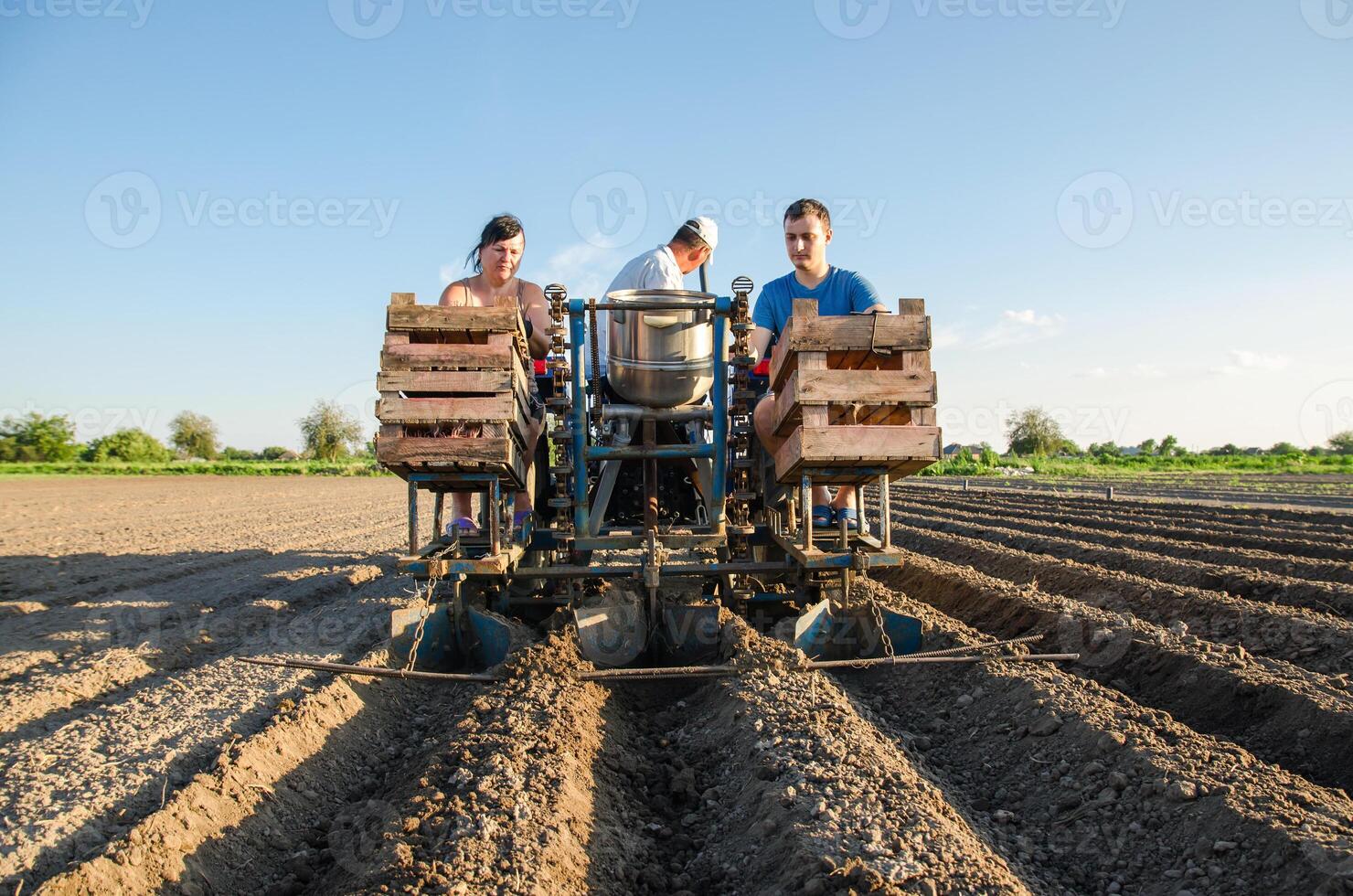Workers on a tractor are planting potatoes. Automation of the process of planting potato seeds. High efficiency and speed. Agricultural technologies. Agroindustry and agribusiness. Farming photo