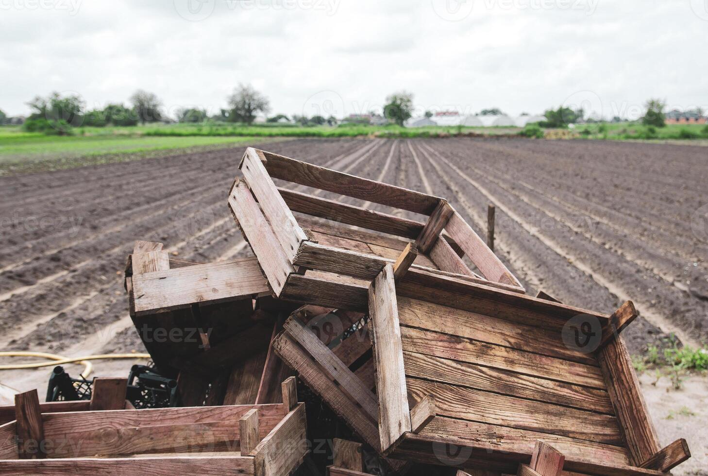 Pile of wooden crates on a farm field. End of potato planting campaign. Agroindustry. Farm landscape. Empty containers for seedlings or seed potatoes. Traditional farming agriculture, agribusiness. photo