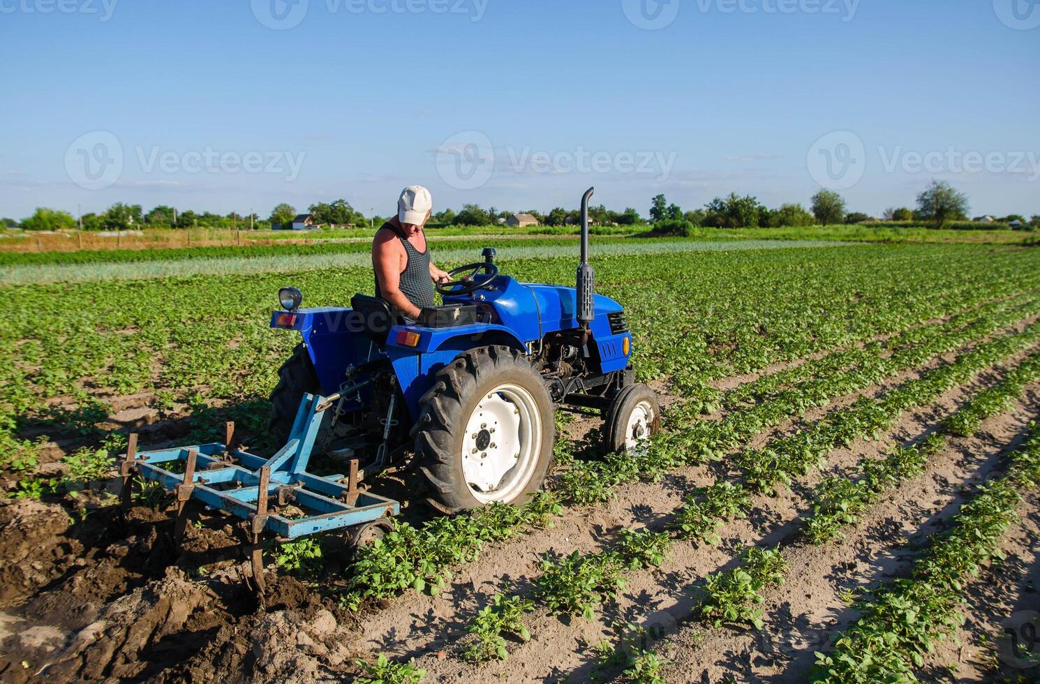 The farm is controlled by the cultivation process on the tractor. Agroindustry and agribusiness. Field work cultivation. Crop care, soil quality improvement. Plowing and loosening ground photo