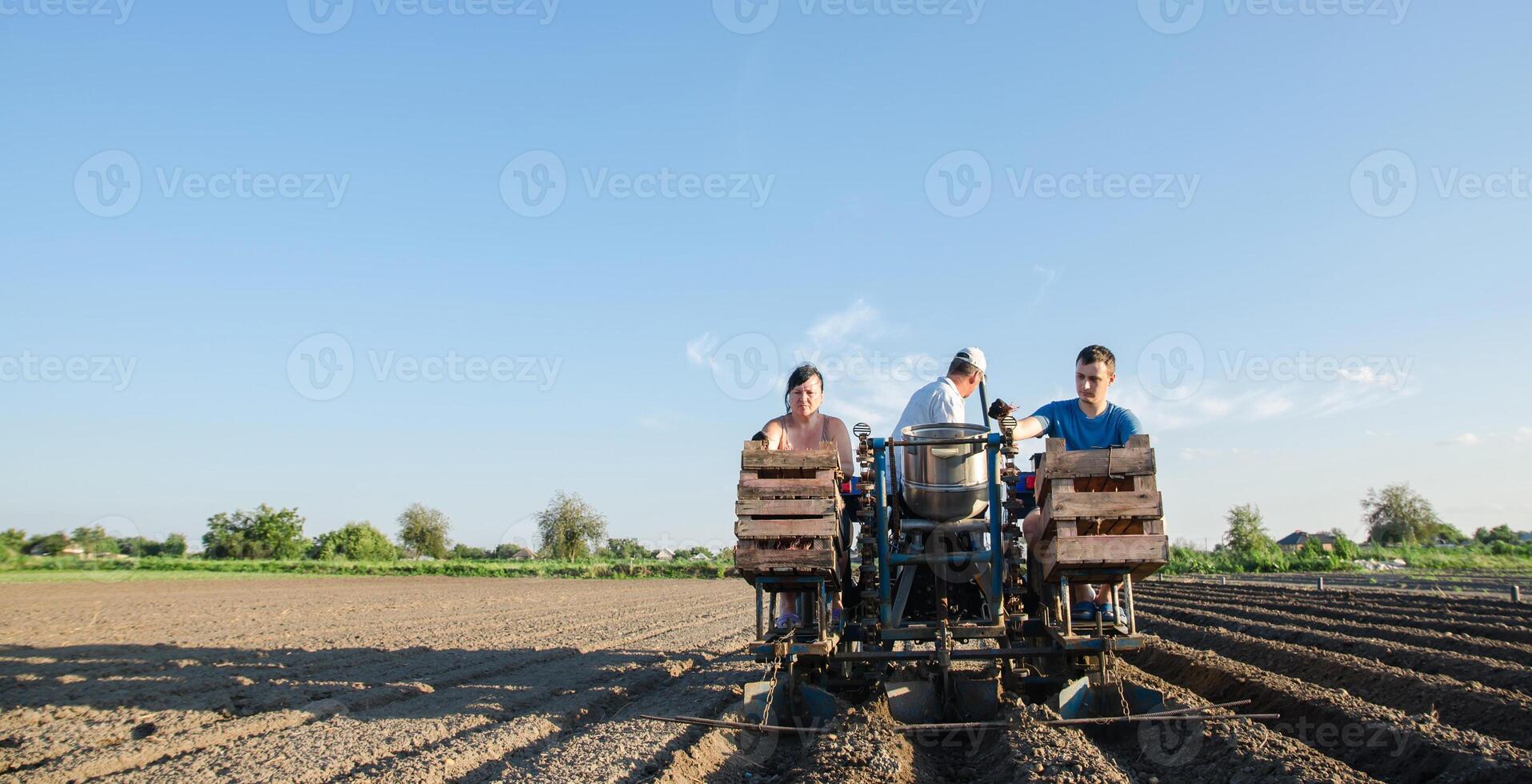 Workers on a tractor are planting potatoes. Automation of the process of planting potato seeds. Agricultural technologies. Agroindustry and agribusiness. Farming. High efficiency and speed. photo
