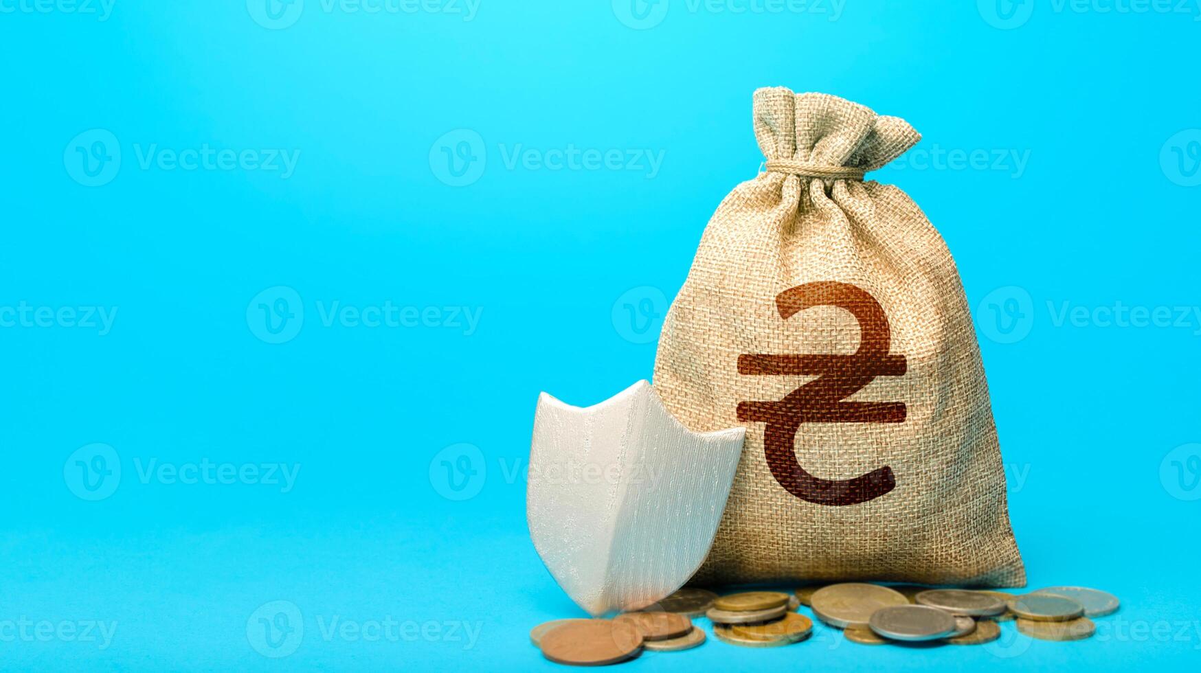 Ukrainian hryvnia money bag and protection shield. Guarantee protection savings and investments. Secured loan. Financial instruments. Ease doing business. Avoiding loss of funds during inflation. photo