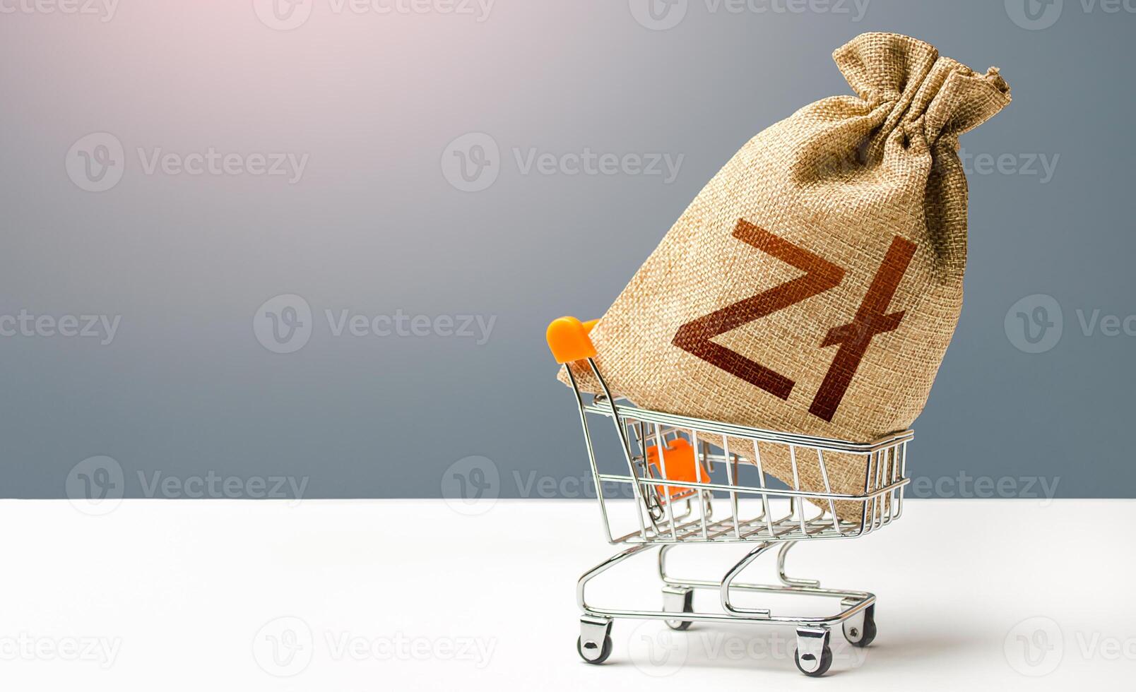 Polish zloty money bag in a shopping cart. Business and trade concept. Public budgeting. Profits and super profits. Minimum living wage. Loans, microloans. Consumer basket. Economic bubbles. photo