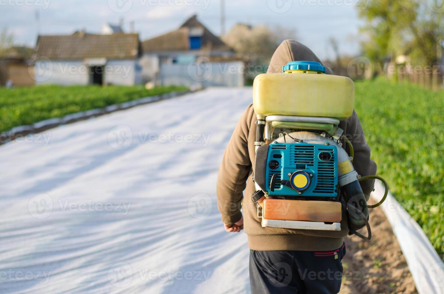 A farmer with a mist sprayer on his back walks through the farm field. Protection of cultivated plants from insects and fungal infections. The use of chemicals for crop protection in agriculture photo