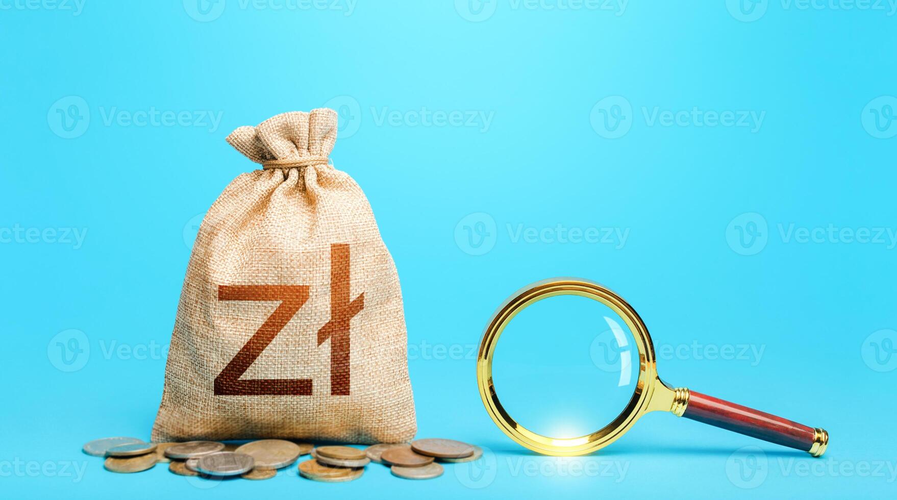 Polish zloty money bag and magnifying glass. Origin of capital funds. Revising the budget to save money. Financial audit control. Most favorable conditions for deposits. Search for financing. photo