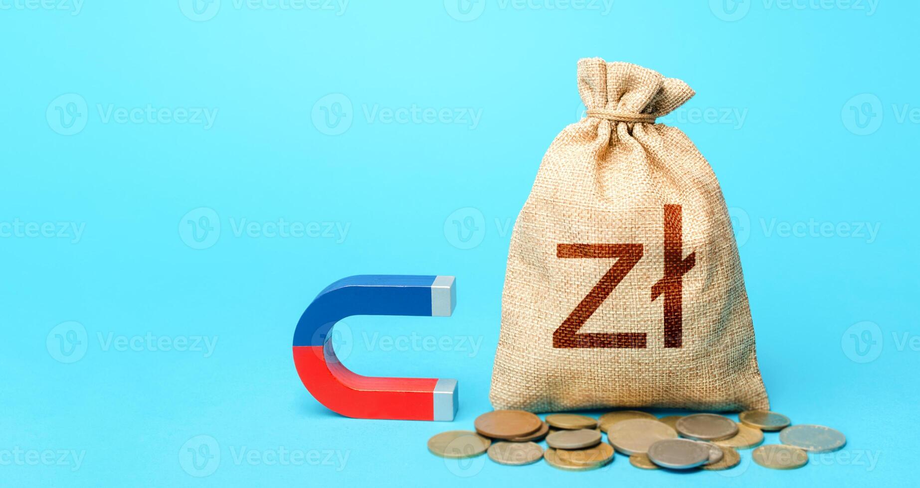 Polish zloty money bag and red blue magnet. Raising funds and investments in business projects and startups. Tax collection. Money laundering. Accumulation and attraction of capital. photo