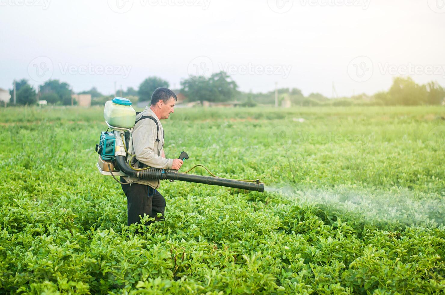 A farmer with a mist sprayer blower processes the potato plantation from pests and fungus infection. Protection and care. Fumigator fogger. Use of agriculture industrial chemicals to protect crops. photo
