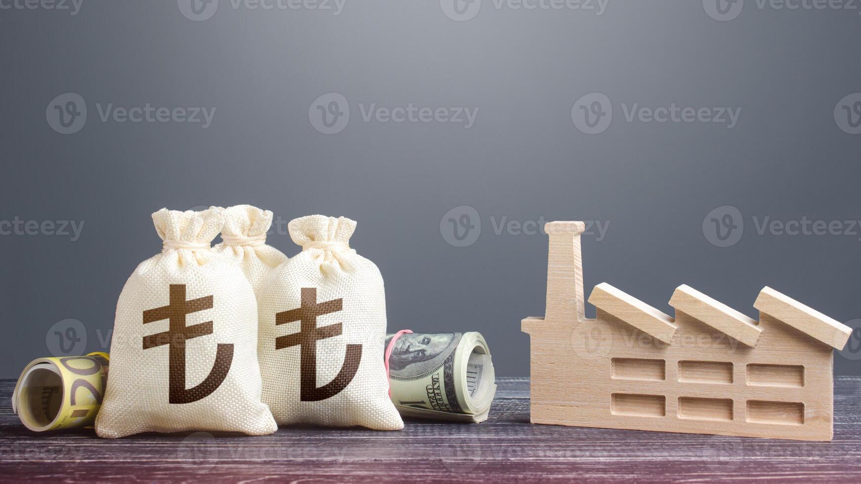 Turkish lira money bags and industrial factory. Subsidies support for businesses. Investments in production and energy industry. Concession auction tender. Budget forming economy subjects. photo