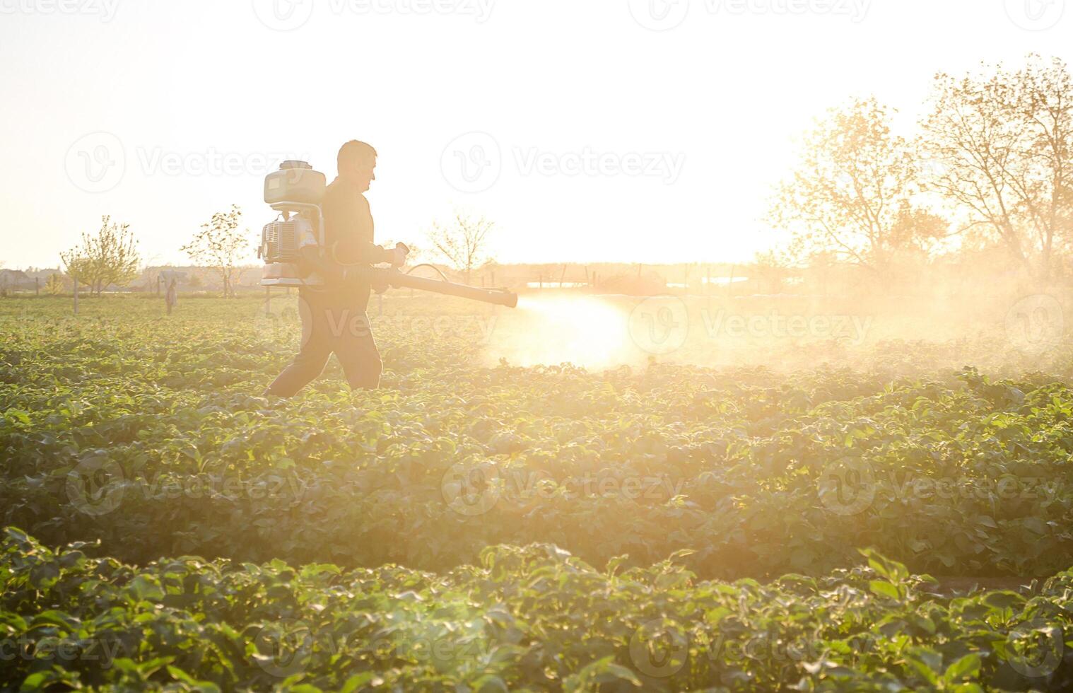 Farmer with a mist sprayer on a morning plantation. Protection and care. Use of industrial chemicals to protect crops from insects. Agriculture and agribusiness. Harvest processing photo
