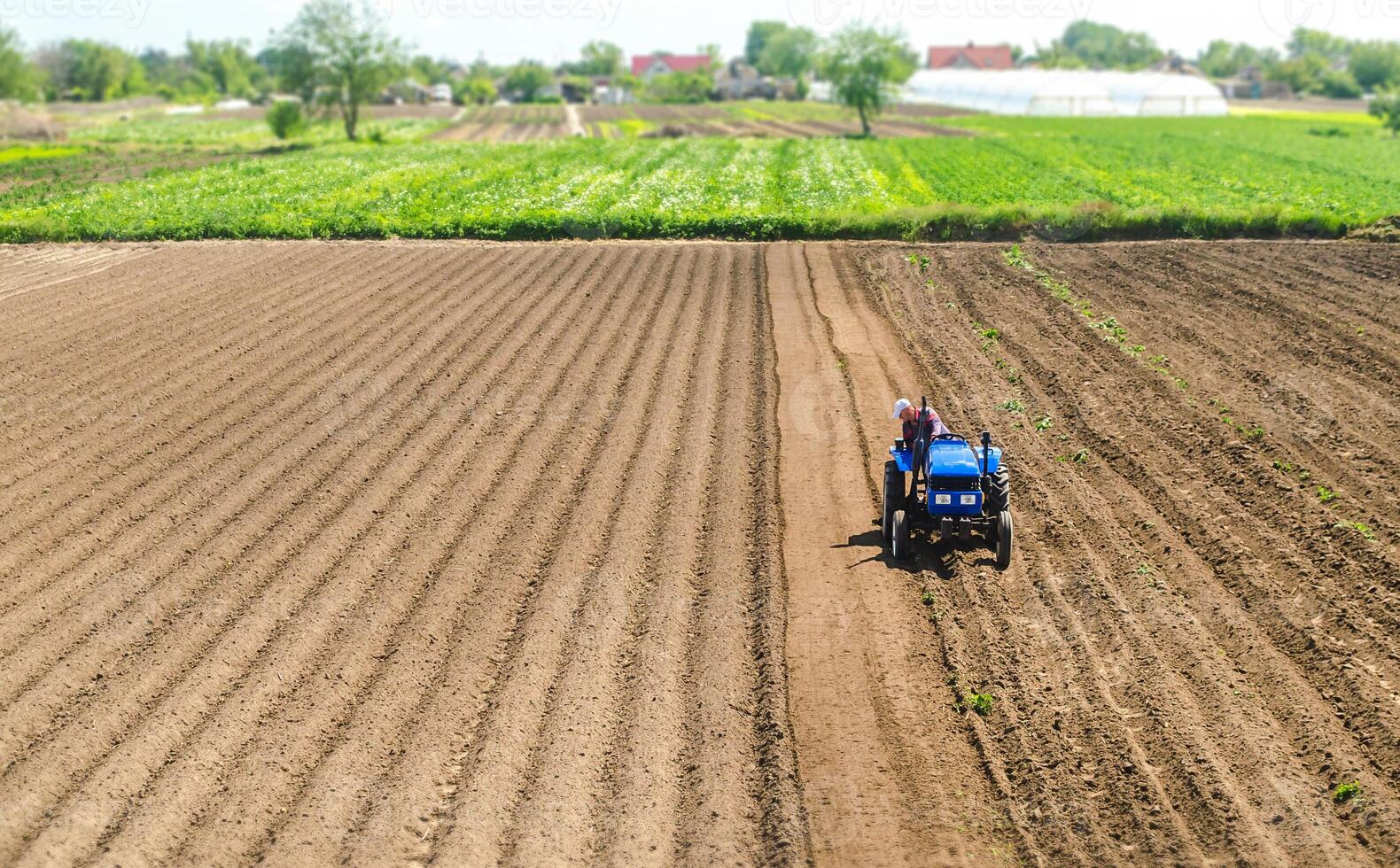 Farmer on a tractor drives on a farm field. Agriculture and agribusiness. Growing vegetables. Processing and transformation of soil for agricultural needs. Improving the quality of the land photo