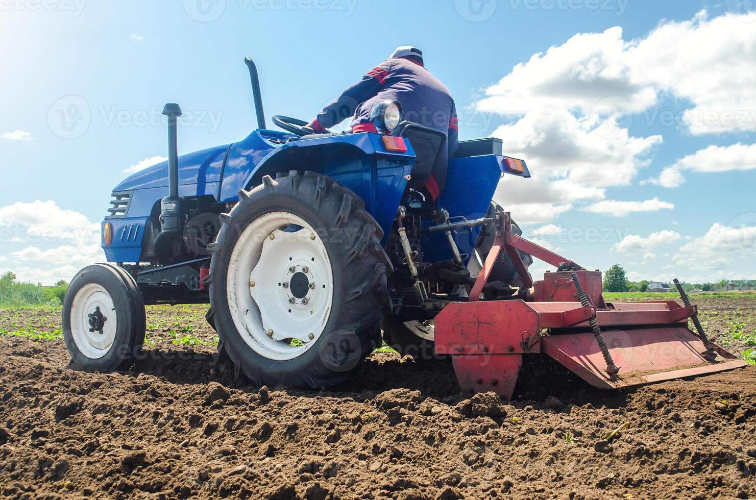 Farmer on a tractor with a milling machine processes loosens soil in the farm field. Preparation for new crop planting. Grind and mix soil on plantation. Loosening surface, cultivating the land. photo
