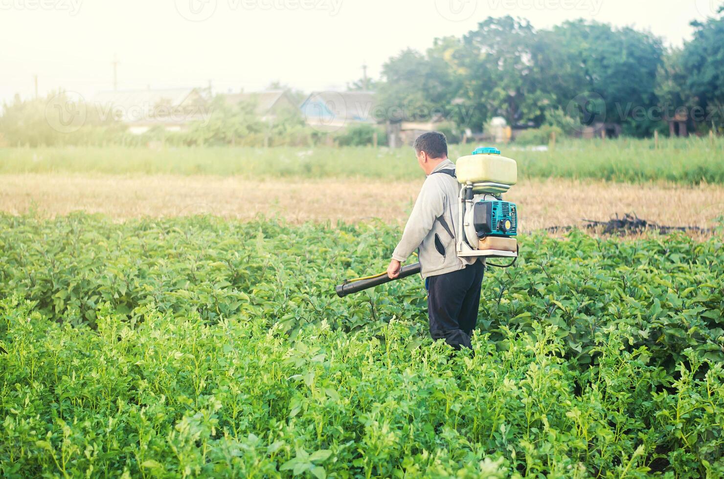 A farmer with a mist sprayer blower processes the potato plantation from pests and fungus infection. Protection and care. Use chemicals in agriculture. Agriculture and agribusiness. Harvest processing photo