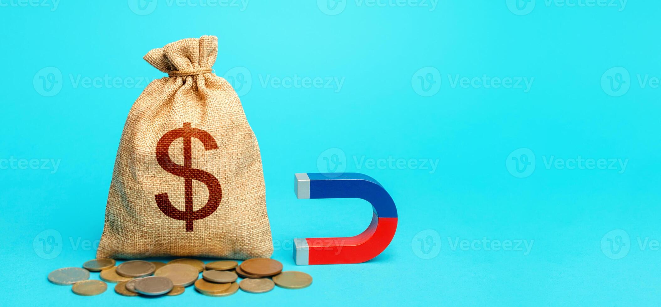 Dollar money bag and magnet. Raising funds and investments in business projects and startups. Take part in tenders. Accumulation and attraction of capital. Tax collection. Money laundering photo