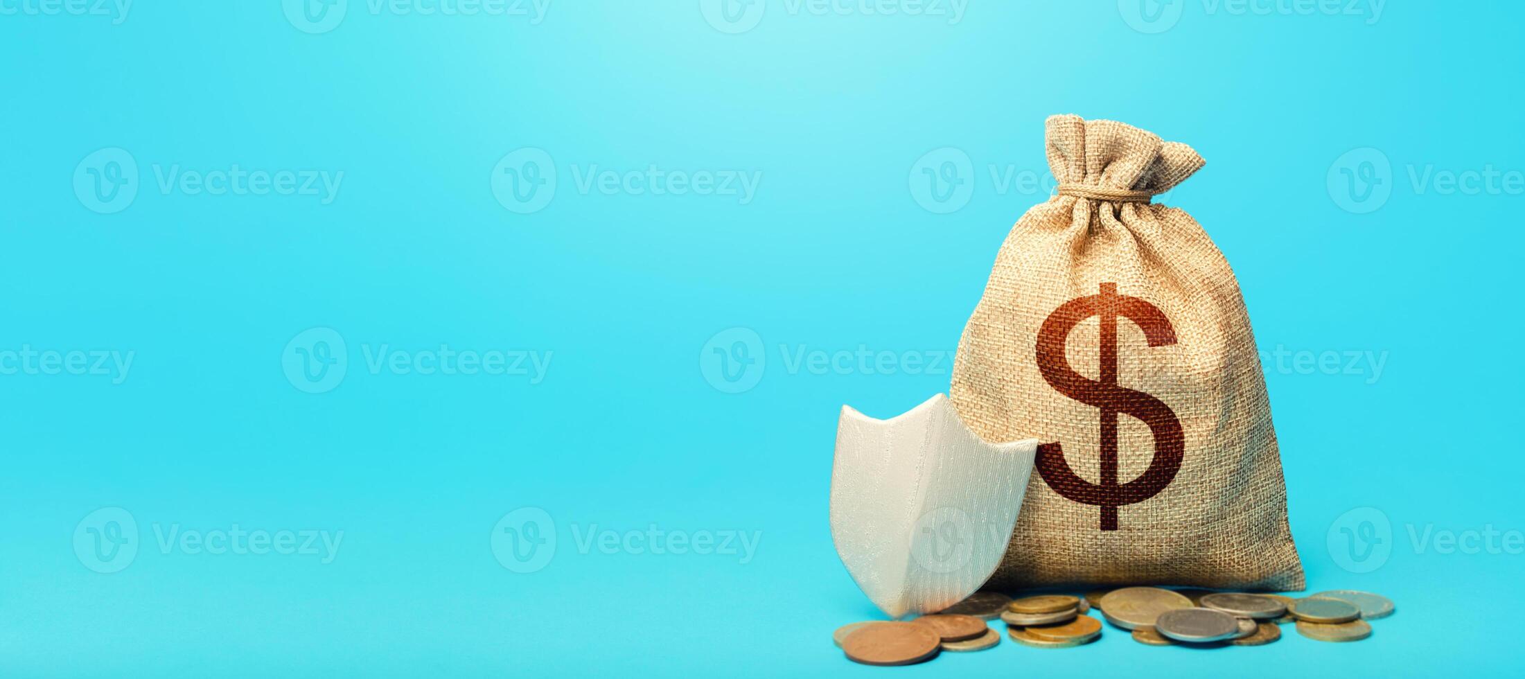 Dollar money bag and protection shield. Guarantee of protection of means of savings and investments. Avoiding loss of funds during inflation. Secured loan. Ease doing business. Financial instruments photo