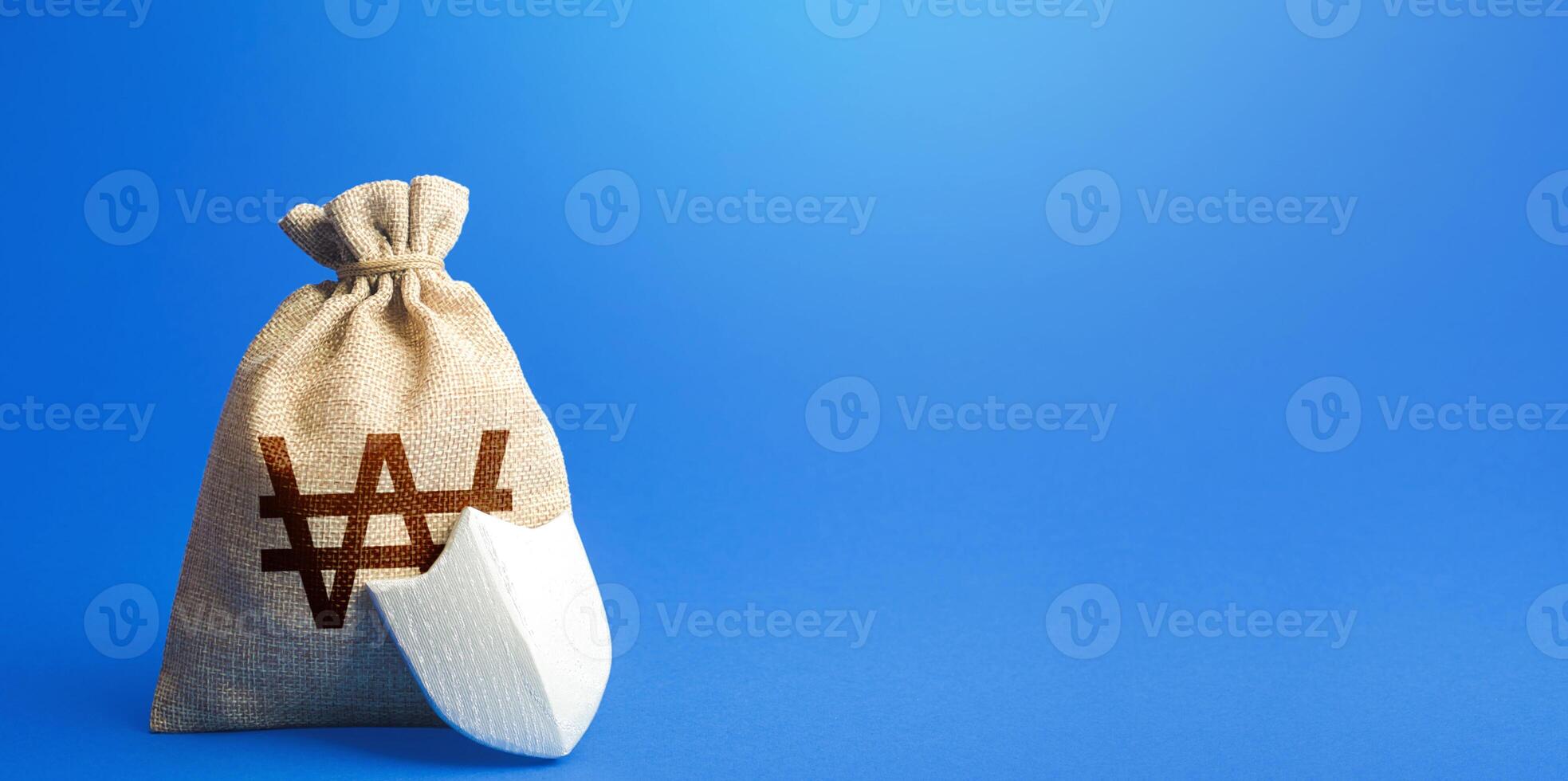 South korean won money bag and protection shield. Ease doing business. Investment protection. Guaranteed deposits insurance compensation. Strength of financial system. Sustainable banks. photo