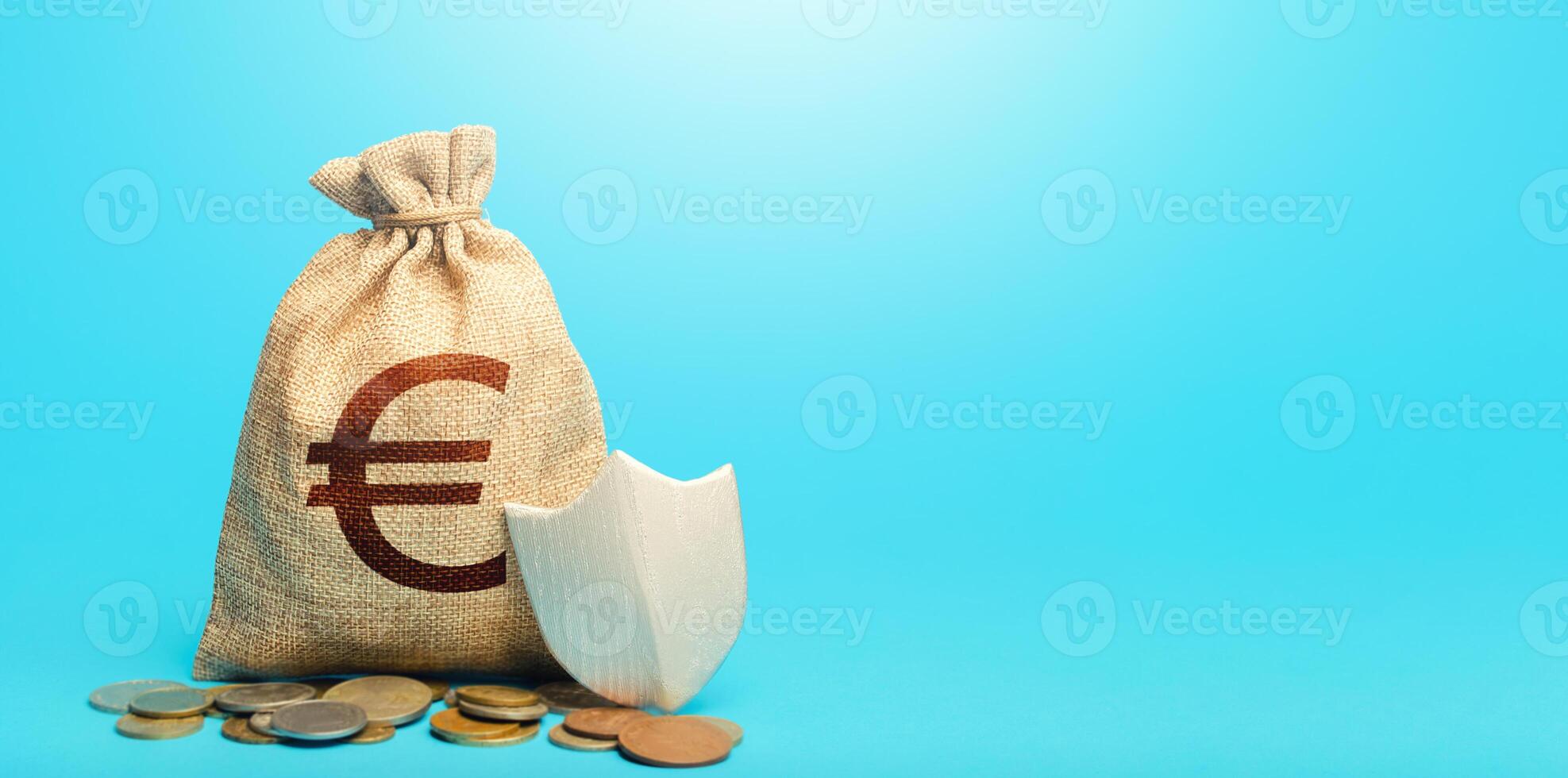 Euro money bag and protection shield. Guarantee of protection of means of savings and investments. Secured loan. Ease doing business. Financial instruments. Avoiding loss of funds during inflation. photo