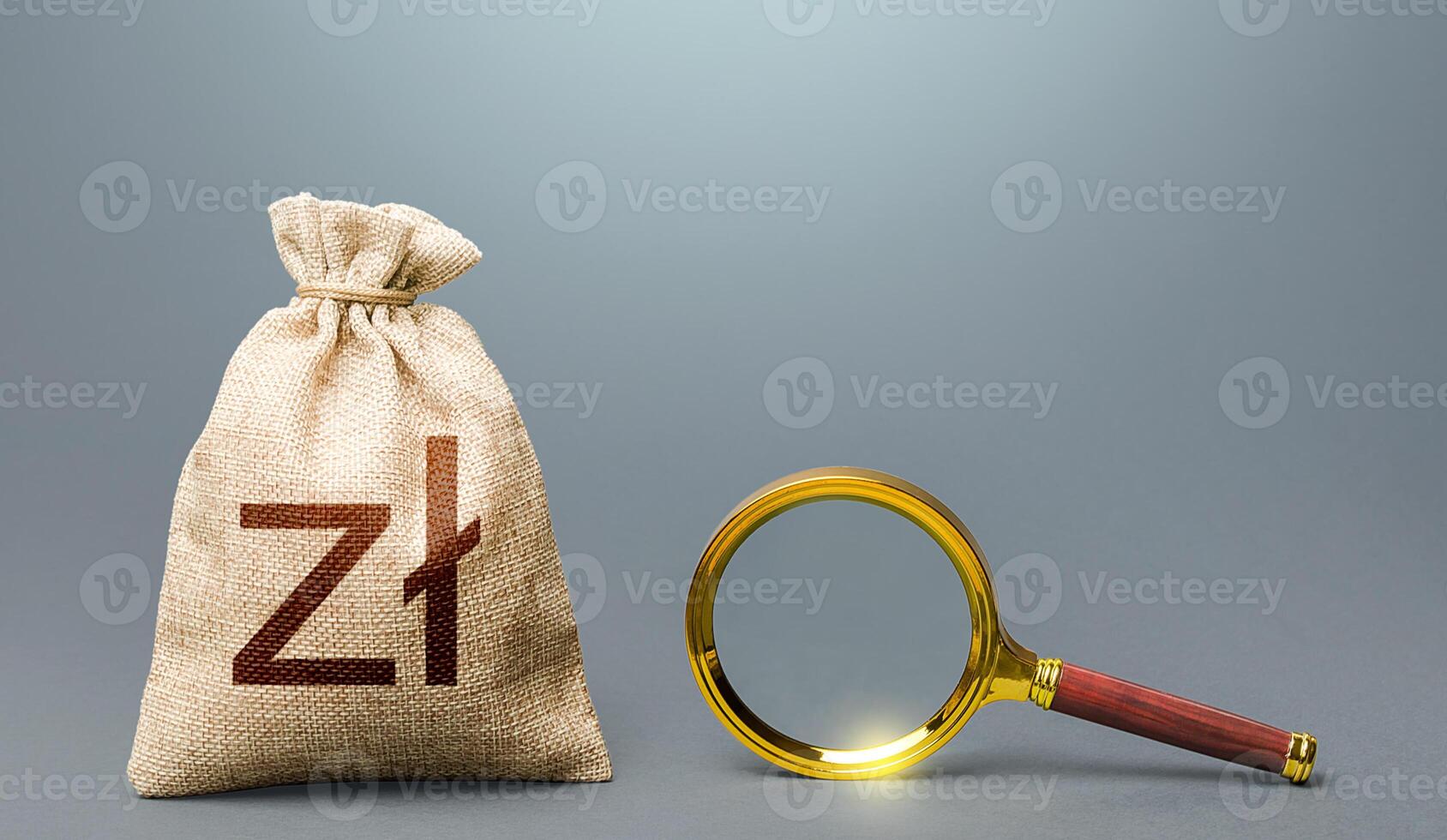 Polish zloty money bag and magnifying glass. Most favorable conditions for deposits, loans. Financial audit. Search for financing beneficiaries. Origin of capital and legality of funds. photo