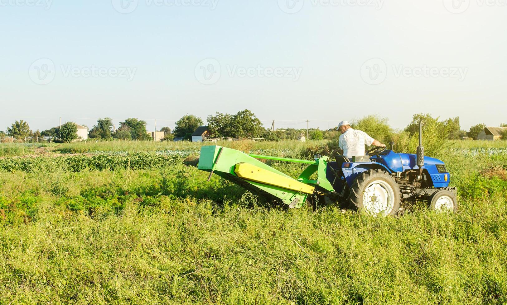 A farmer on a tractor digs potatoes in the farm field. Countryside. Food production. Harvesting potatoes in autumn. Extract root vegetables to surface. Farming and farmland. photo