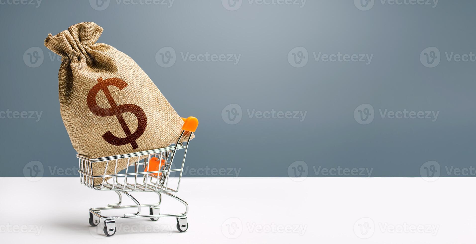 Dollar money bag on a shopping cart. Profits and super profits. Loans and microloans. Minimum living wage. Consumer basket. Business and trade concept. Public procurement, budgeting. Economic bubbles photo