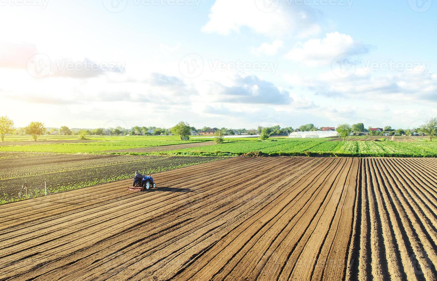 Farmer on a tractor cultivates land after harvesting. Loosening, improving soil quality. Development of agricultural technologies. Cultivating soil for further planting. Food vegetable production photo