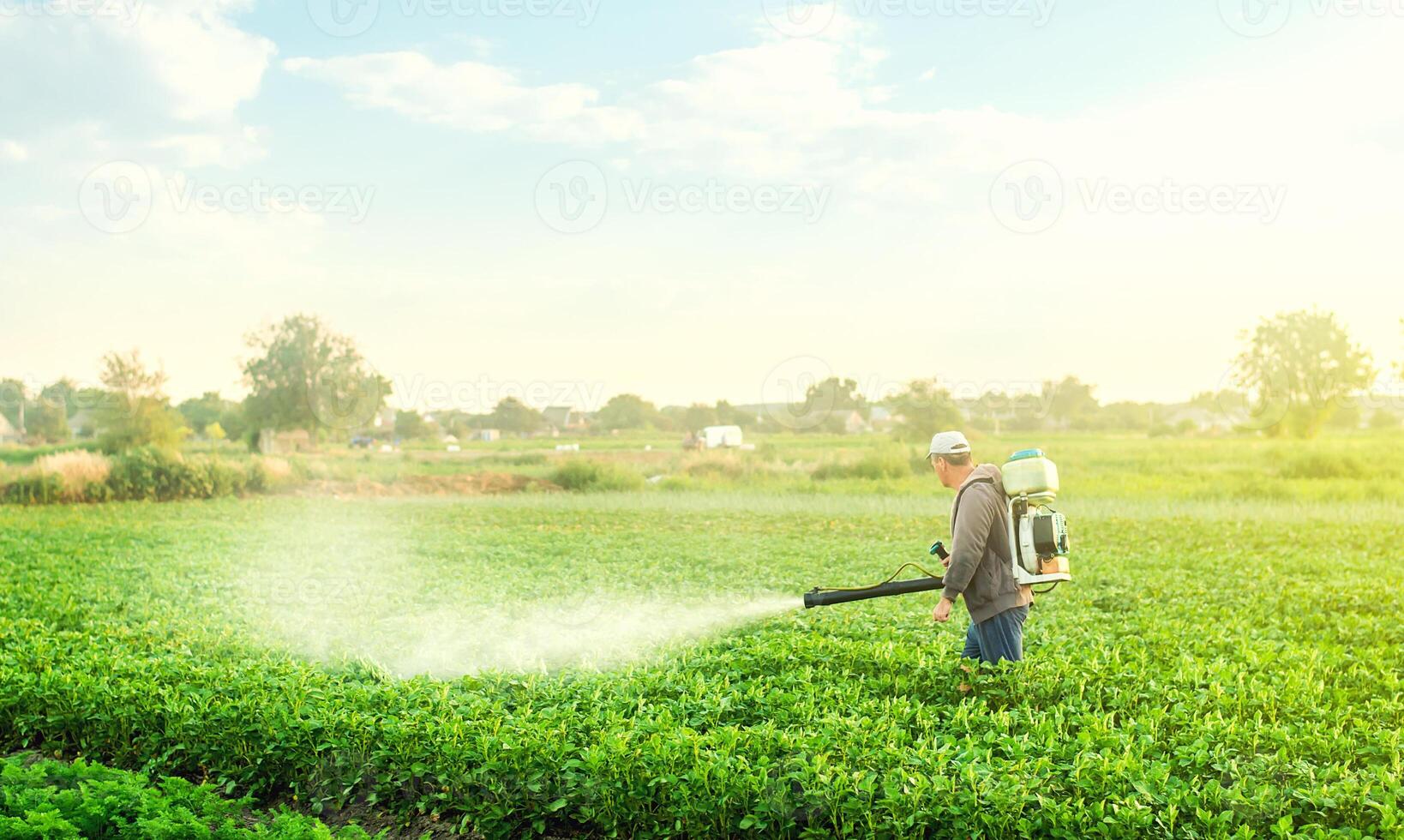 A farmer with a mist blower sprayer walks through the potato plantation. Use chemicals in agriculture. Agriculture and agribusiness. Treatment of the farm field against insect pests, fungal infections photo