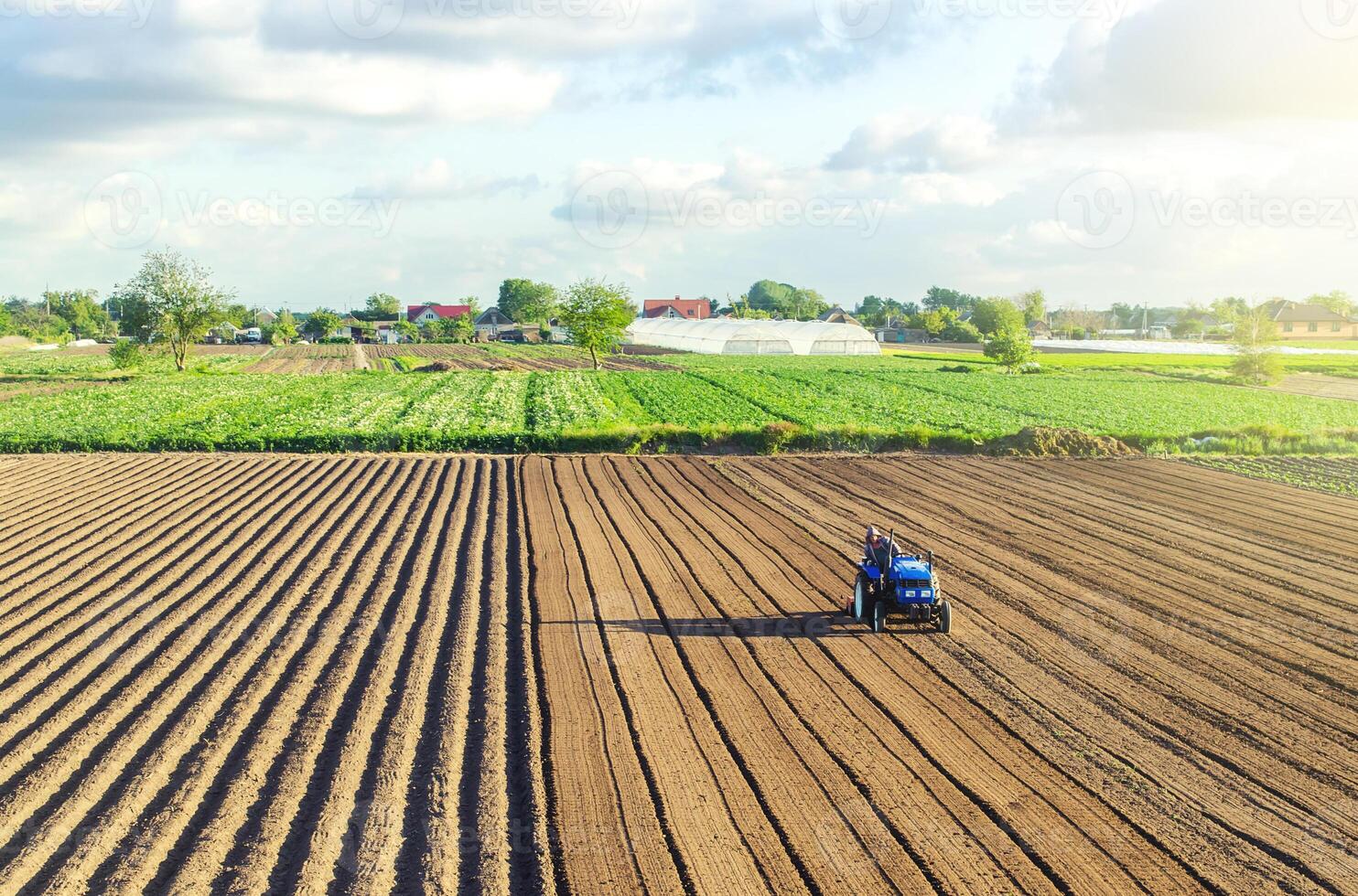 A tractor rides on a farm field. Farmer on a tractor with milling machine loosens, grinds and mixes soil. Loosening the surface, cultivating the land for further planting. Farming and agriculture. photo