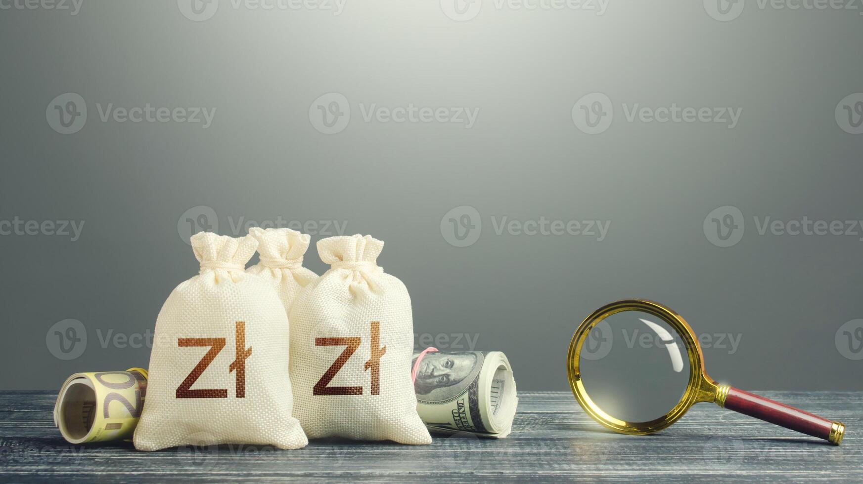 Polish zloty money bags and magnifying glass. Finding financial resources, fund projects. Monitoring of suspicious transactions, cash flows and the legality of the origin of capital. Budget revision photo
