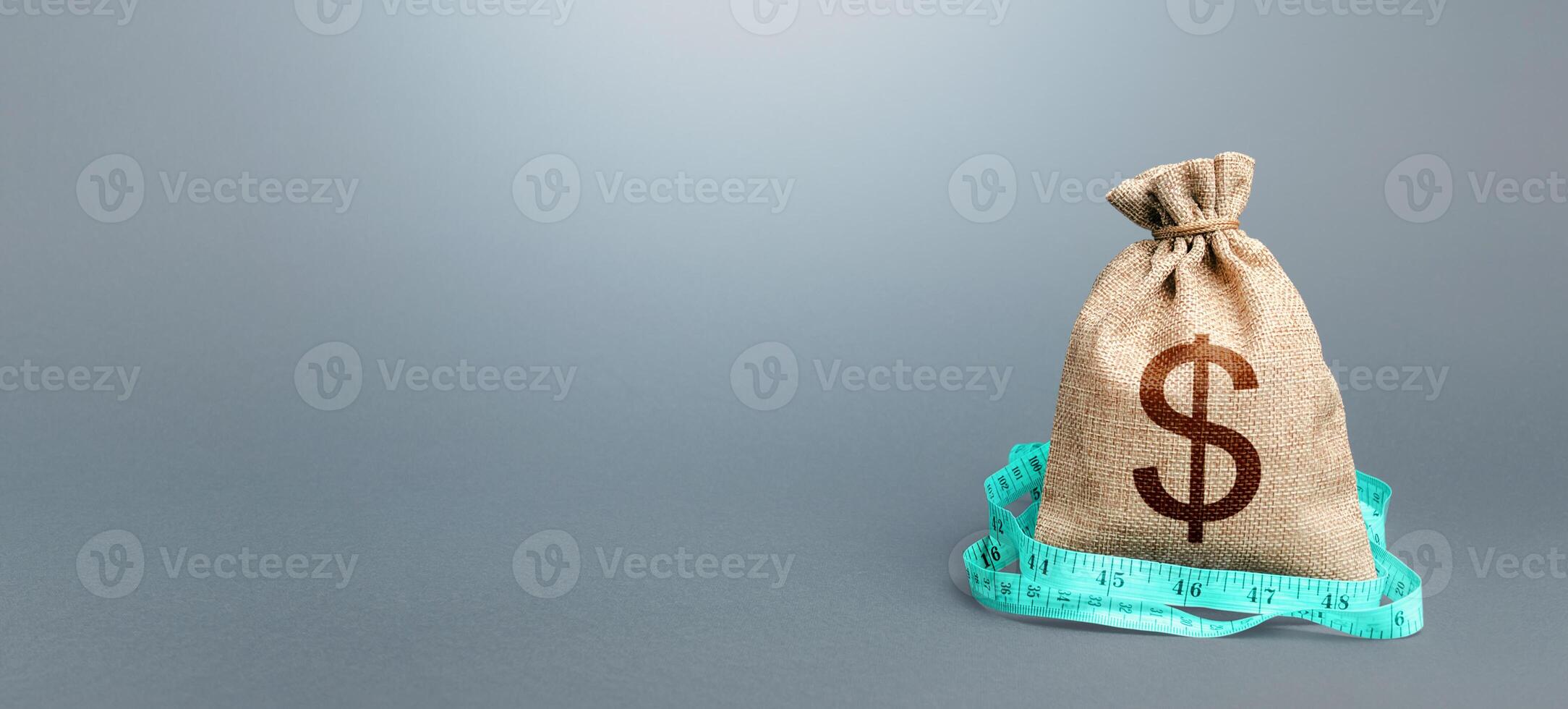 Dollar money bag and measuring tape meter. Assessment of capital. Declaration of income, illegal enrichment. Formation and optimization of the budget, savings. Analysis of the economic situation. photo
