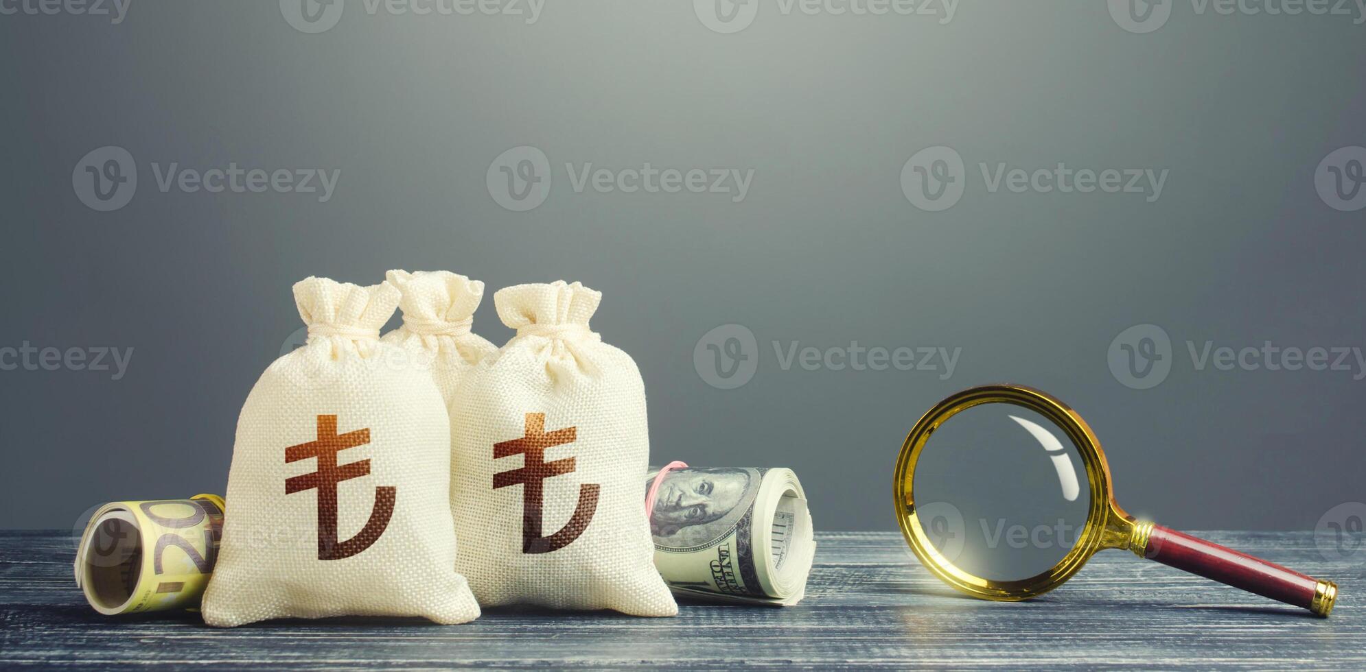Turkish lira money bags and magnifying glass. Finding financial resources, fund projects. Budget revision. Monitoring of suspicious transactions, cash flows and the legality of the origin of capital. photo