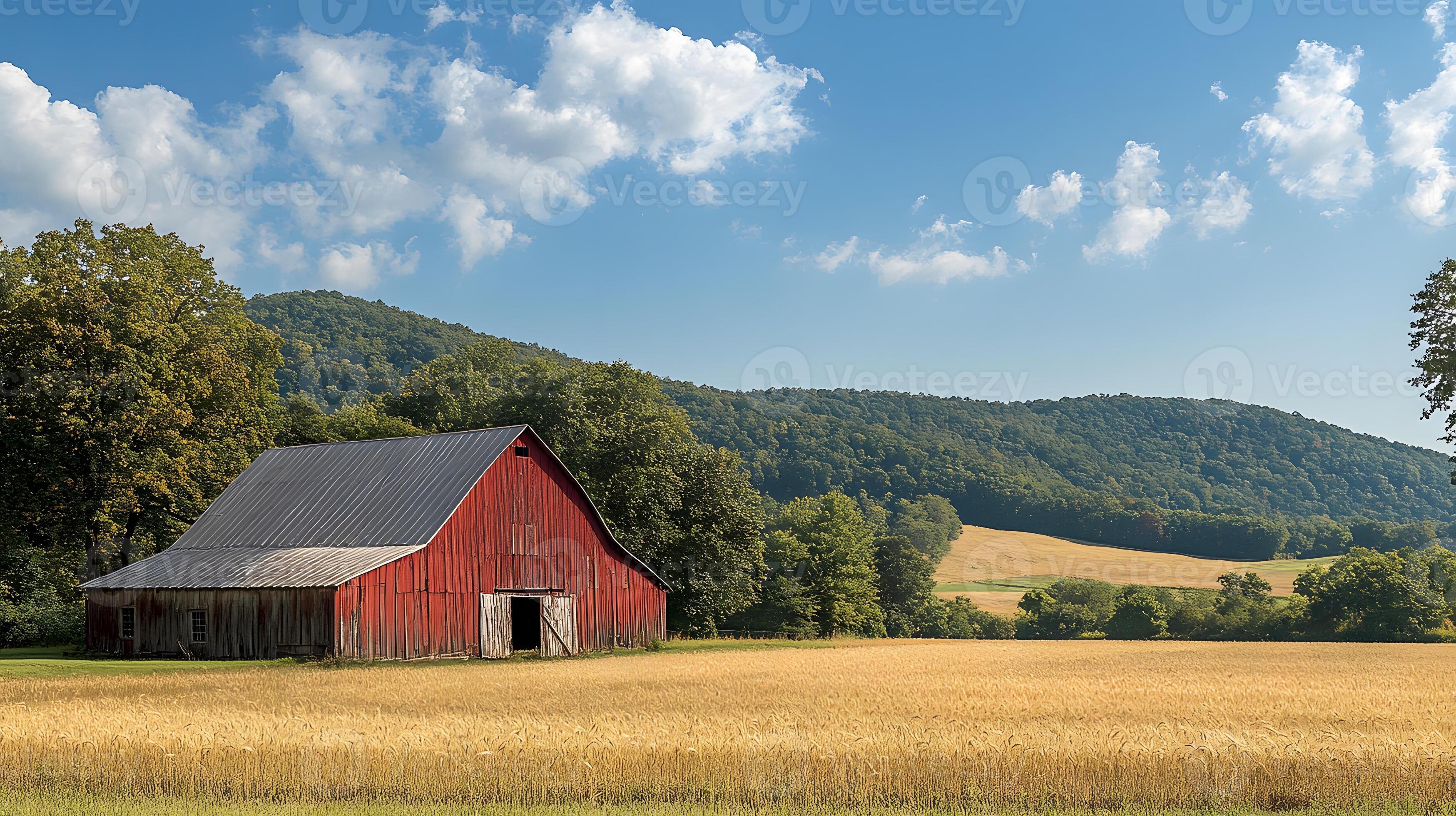 Novosilki Rural Landscapes