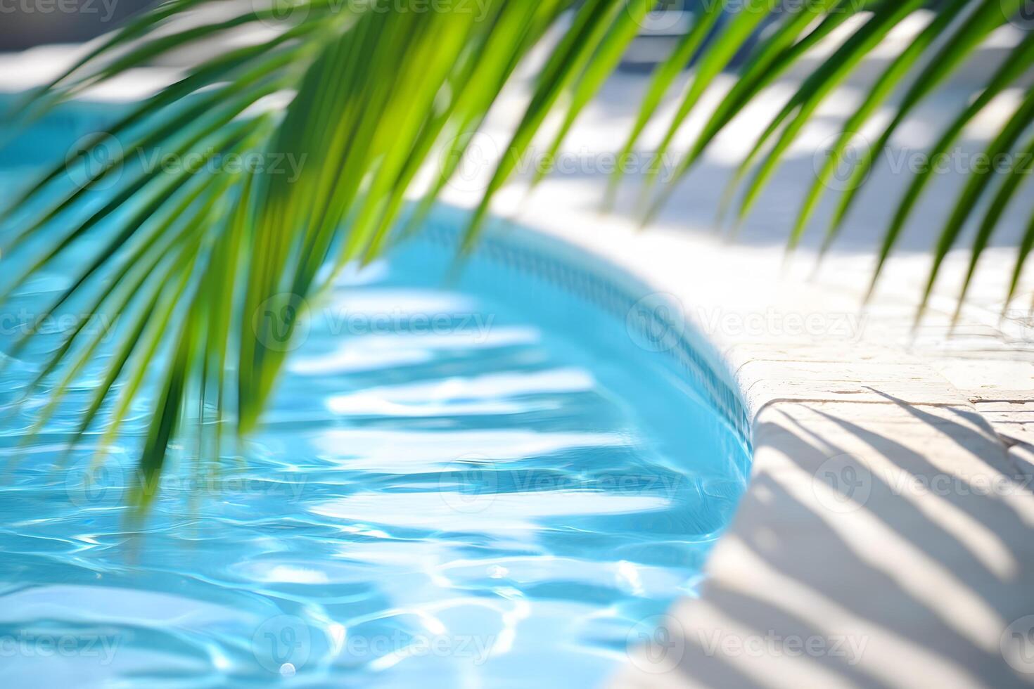 Serene Poolside Palm Fronds Over Blue Water photo