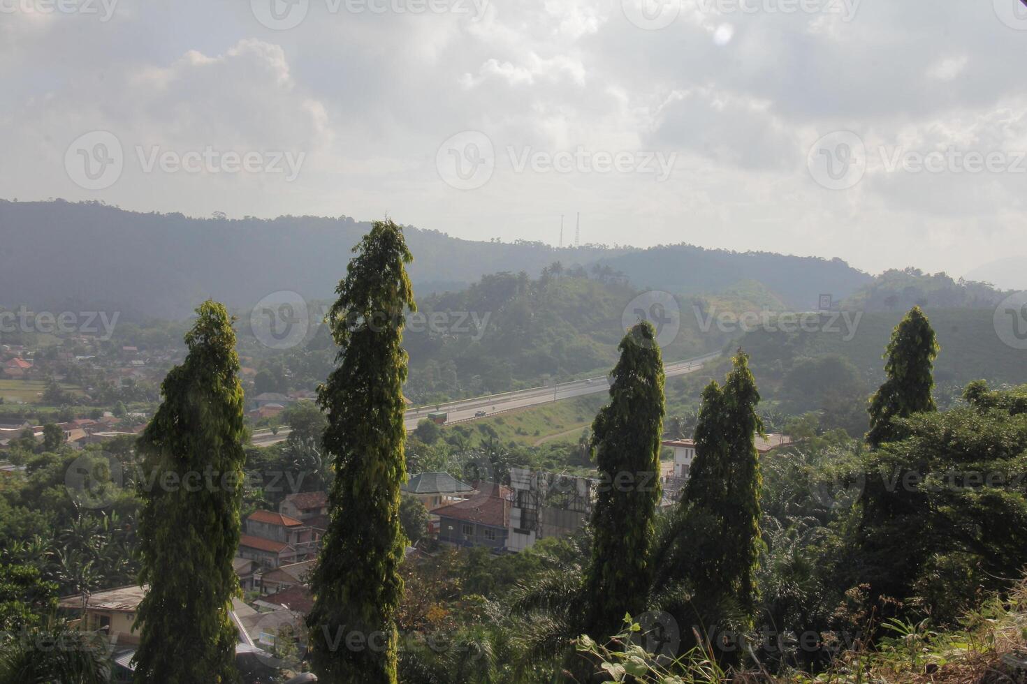 Scenic landscape view of a highway and houses through tall green trees on a cloudy day photo