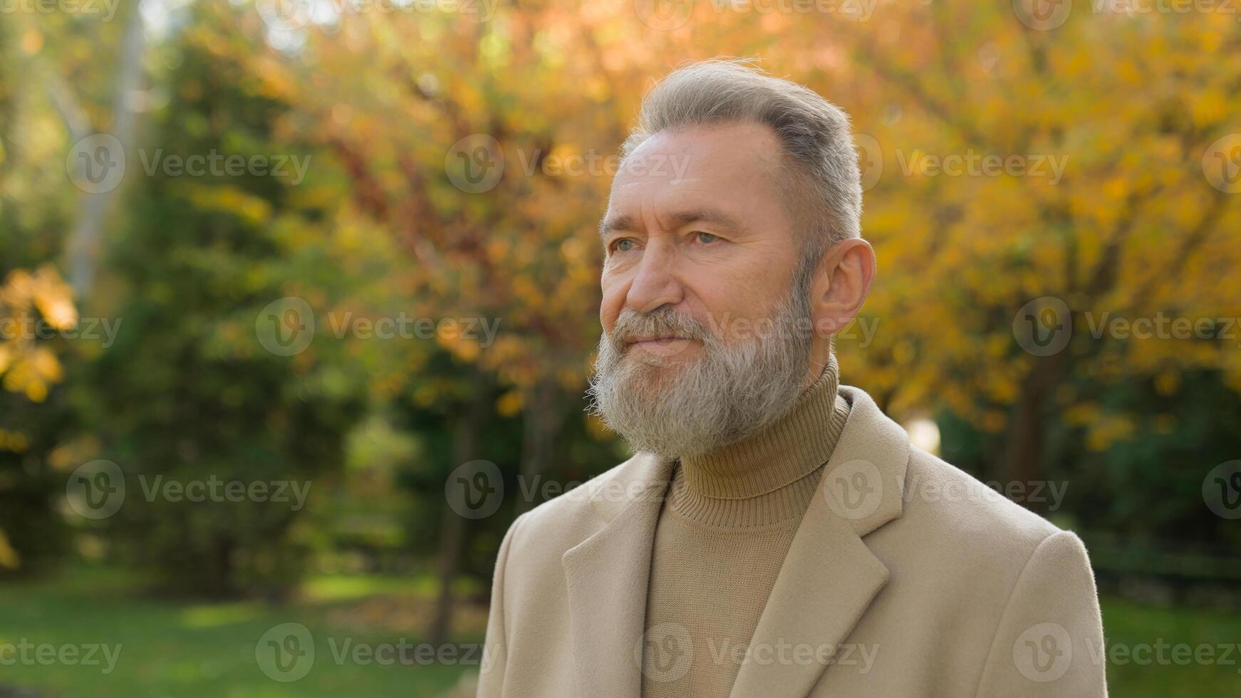 Elegant mature gray haired man walking alone road in autumn park alley calm thoughtful Caucasian senior 60s businessman walk in nature outdoors old middle age generation male person strolling in city photo