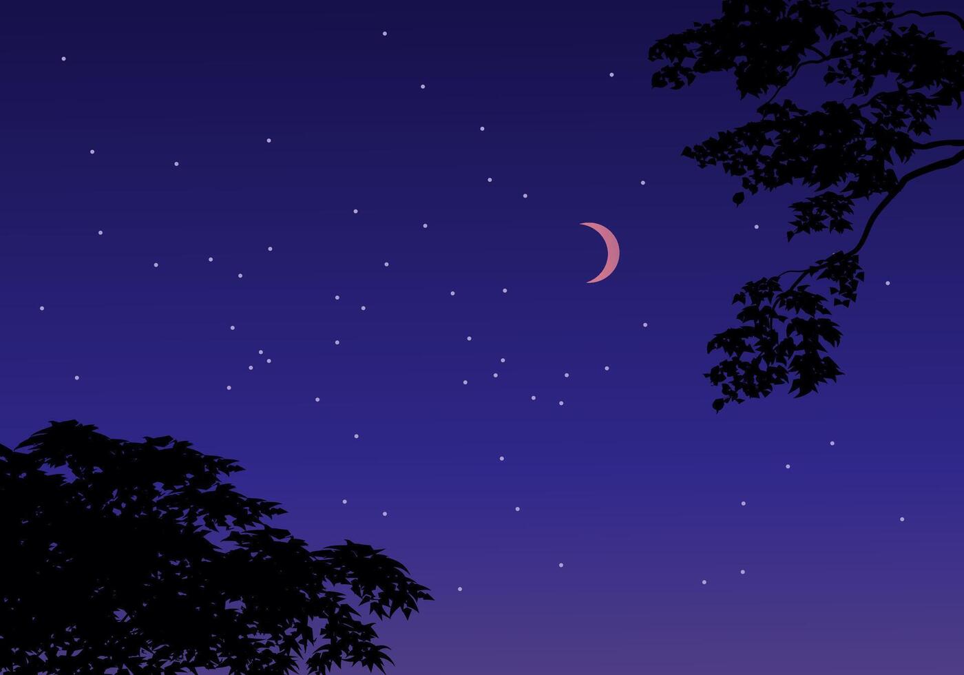 Nature background with trees and night sky vector