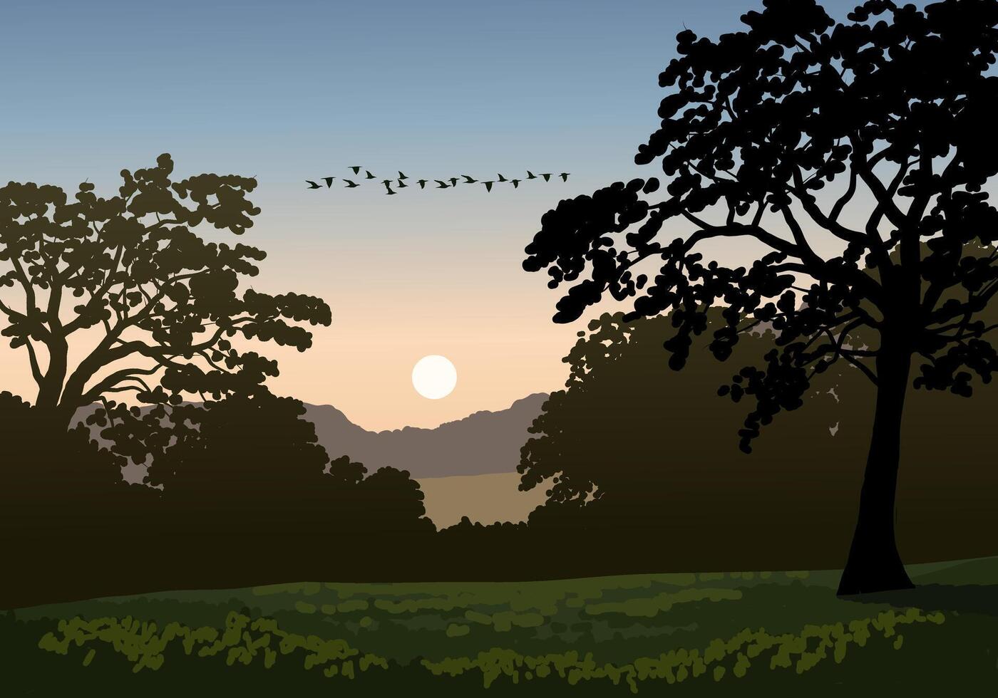 Woodland sunrise landscape illustration with grassland vector