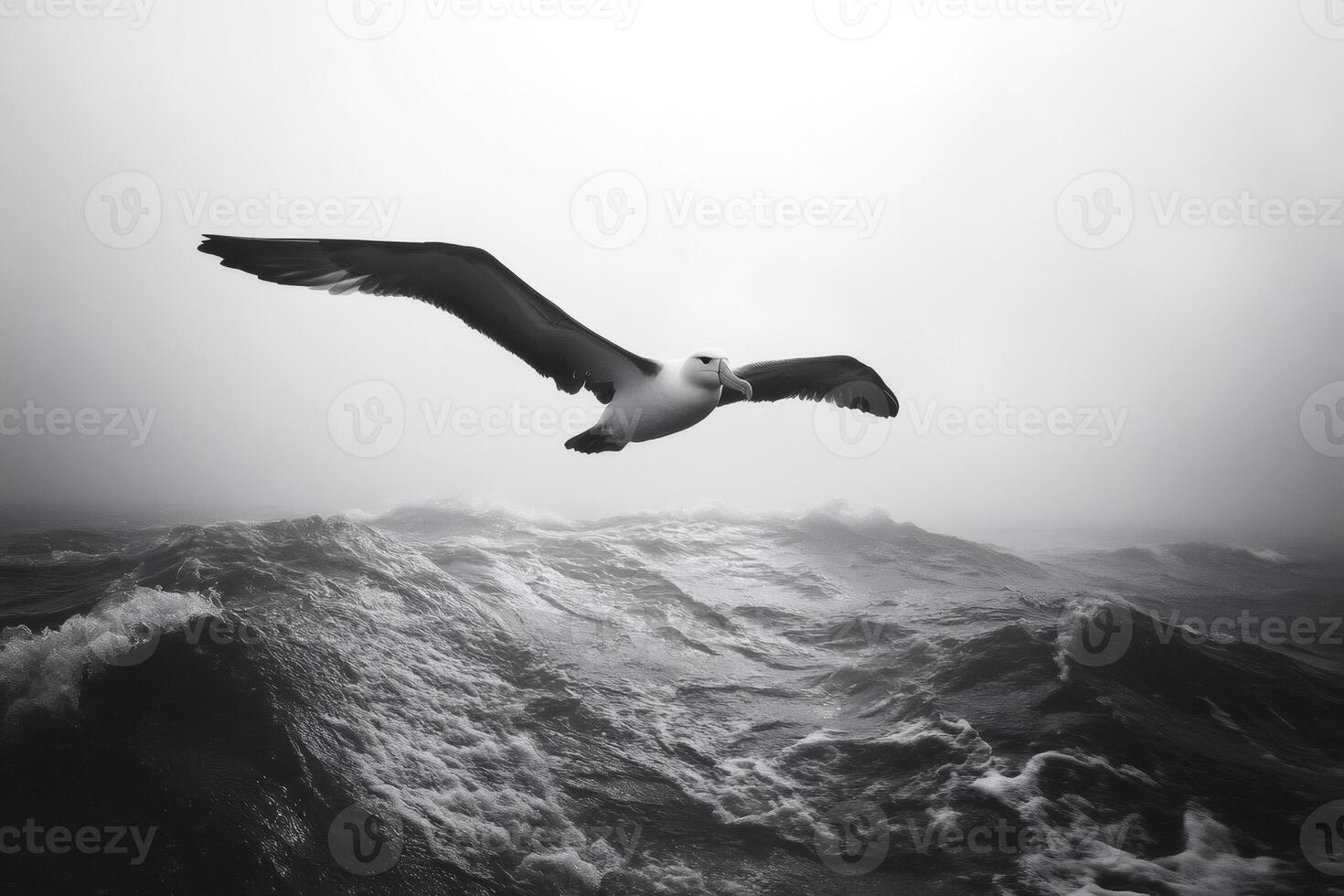 Wandering albatross flying over rough ocean in monochrome photo