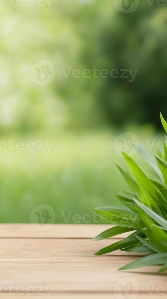 Fresh green leaves resting on a wooden surface with a blurred natural background in a sunny outdoor setting photo